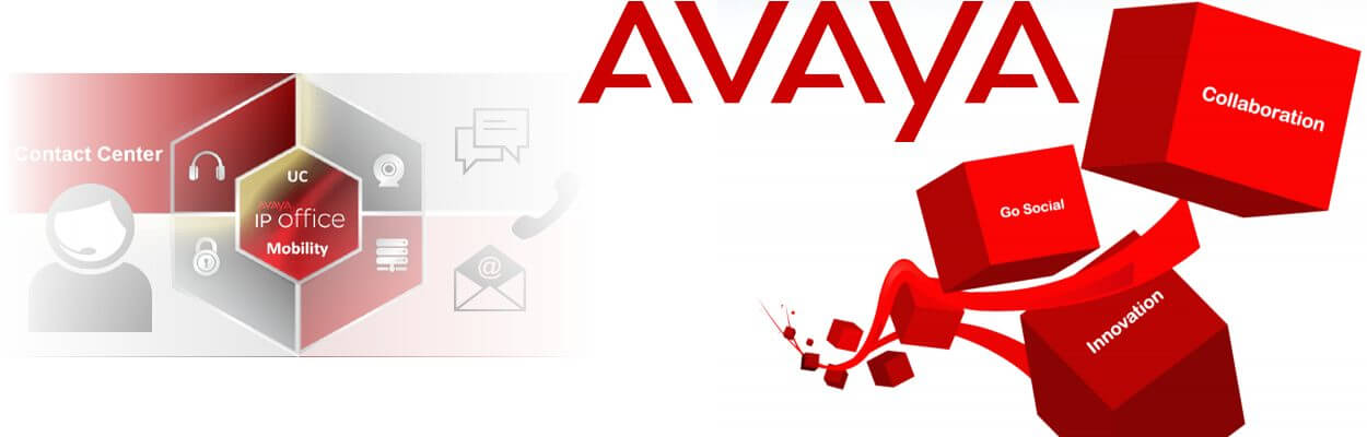 Avaya Supplier Accra