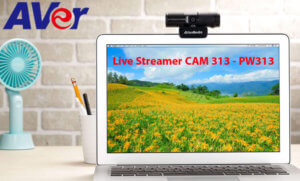 Aver Live Streamer Cam 313 Ghana