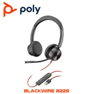 Poly Blackwire8225 Usb A Ghana